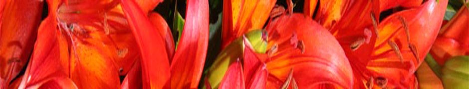 Ferienwohnung der Familie Lau